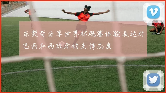 东契奇分享世界杯观赛体验表达对巴西和西班牙的支持态度