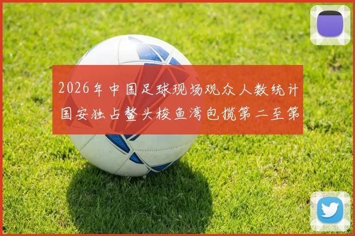 2026年中国足球现场观众人数统计国安独占鳌头梭鱼湾包揽第二至第七位